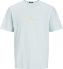 Jack & Jones JORARUBA BRANDING TEE SS CREW NECK Skylight