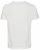 Blend 5018 T-Shirt white - Koszulki - T-shirty meskie Duże Rozmiary - 2XL-14XL