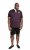 D555 NASH Short Sleeve Rugby Shirt Burgundy - Koszulki polo - Koszulki Polo 2XL-8XL