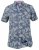 D555 Oswald Short Sleeve Hawaii Shirt - Koszule - Koszule 2XL-10XL