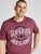 Jack & Jones JJELOGO TEE Hawthorn Rose - Koszulki - T-shirty meskie Duże Rozmiary - 2XL-14XL