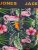 Jack & Jones JACPINK FLAMINGO TRUNKS 5 PACK Navy Blazer - Bielizna & stroje kąpielowe - Bielizna & Stroje kąpielowe 2XL-8XL