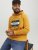 Jack & Jones Codyy Hoodie Yellow - Bluzy & bluzy z kapturem - Bluzy & Bluzy z kapturem 2XL-12XL