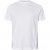 North Latitude T-Shirt 2-Pack White - Koszulki - T-shirty meskie Duże Rozmiary - 2XL-14XL