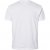 North Latitude T-Shirt 2-Pack White - Koszulki - T-shirty meskie Duże Rozmiary - 2XL-14XL