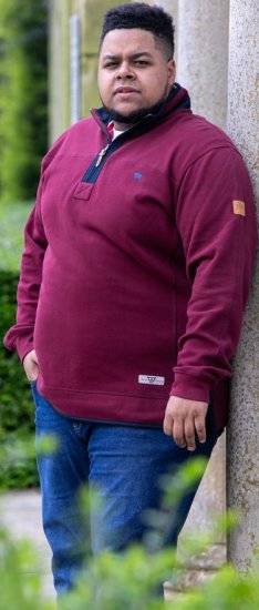 D555 HIRALDO Quarter Neck Pique Fleece Sweatshirt With Chest Embroidery Red - Bluzy & bluzy z kapturem - Bluzy & Bluzy z kapturem 2XL-12XL