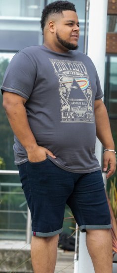 D555 HANLEY Official Pink Floyd Crew Neck T-Shirt Dark Grey TALL SIZES - ODZIEŻ MĘSKA MT-6XLT - WYSOKIE-rozmiary