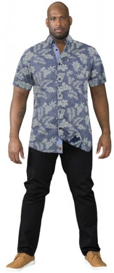 D555 Oswald Short Sleeve Hawaii Shirt - Koszule - Koszule 2XL-10XL