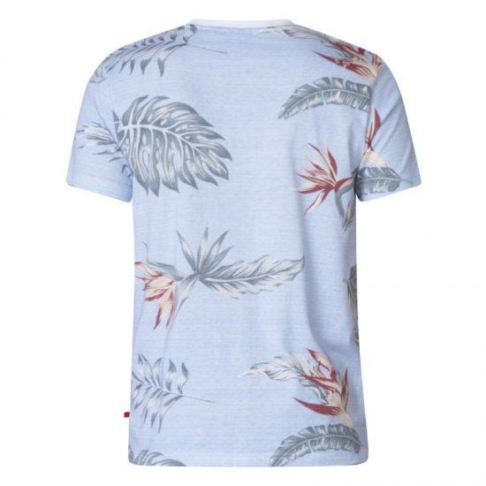 D555 Rufus T-shirt Blue - Koszulki - T-shirty meskie Duże Rozmiary - 2XL-14XL