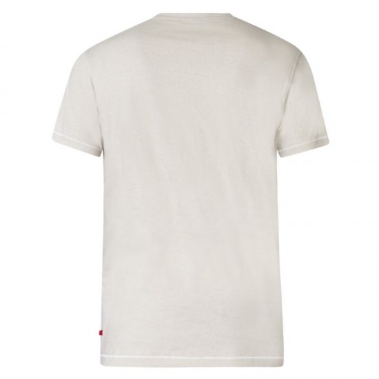 D555 Gordon T-shirt Pale Khaki - Koszulki - T-shirty meskie Duże Rozmiary - 2XL-14XL