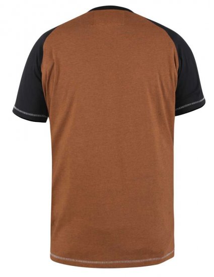 D555 Charmouth Raglan Sleeve Printed T-Shirt - Koszulki - T-shirty meskie Duże Rozmiary - 2XL-14XL