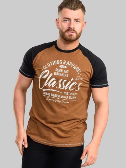 D555 Charmouth Raglan Sleeve Printed T-Shirt - Koszulki - T-shirty meskie Duże Rozmiary - 2XL-14XL