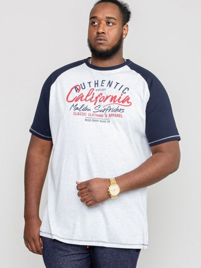 D555 SPARROW Printed T-Shirt - Koszulki - T-shirty meskie Duże Rozmiary - 2XL-14XL