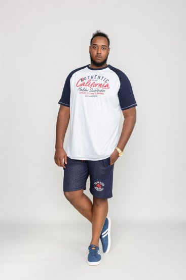 D555 SPARROW Printed T-Shirt - Koszulki - T-shirty meskie Duże Rozmiary - 2XL-14XL