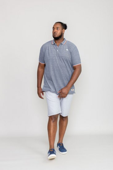 D555 WILCOT Polo Shirt - Koszulki polo - Koszulki Polo 2XL-8XL