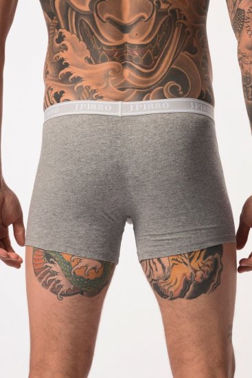 JP1880 Boxershorts Flexnamic OEKO-TEX Mid 2-Pack Grey/Off-White - Bielizna & stroje kąpielowe - Bielizna & Stroje kąpielowe 2XL-8XL