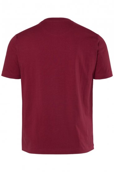 Men+ 219 Koszulka Palmy Miedzianobrązowa - Koszulki - T-shirty meskie Duże Rozmiary - 2XL-14XL