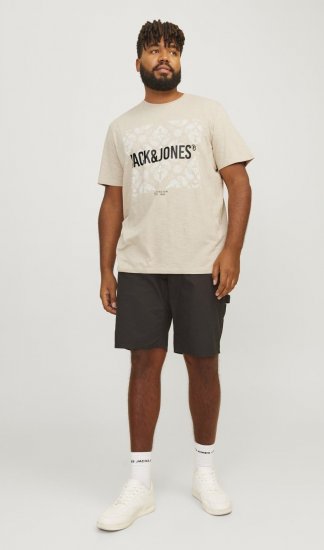 Jack & Jones JJPAISLEY T-Shirt Moonbeam - Koszulki - T-shirty meskie Duże Rozmiary - 2XL-14XL