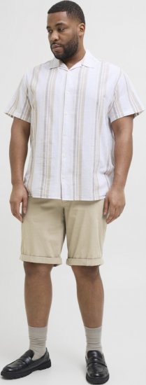 Jack & Jones Dave Chino Shorts Beige - Szorty - Szorty W40-W60