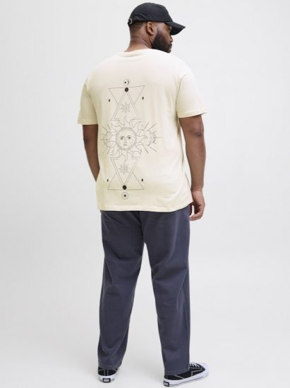 Jack & Jones Jackie Crew Neck T-Shirt Moonbeam - Koszulki - T-shirty meskie Duże Rozmiary - 2XL-14XL