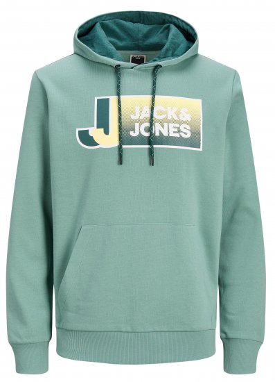 Jack & Jones JCOLOGAN Hoodie Trellis - Bluzy & bluzy z kapturem - Bluzy & Bluzy z kapturem 2XL-12XL
