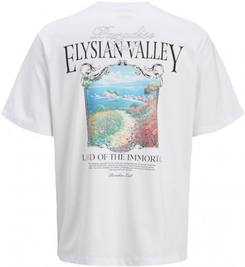 Jack & Jones Parallel Crew Neck T-Shirt Bright White - Koszulki - T-shirty meskie Duże Rozmiary - 2XL-14XL