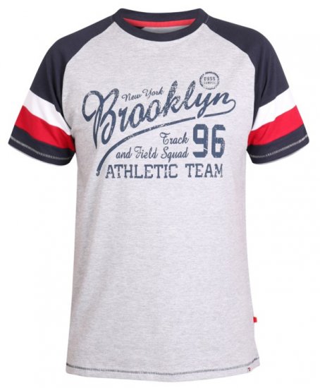 D555 Jones T-shirt Grey - Koszulki - T-shirty meskie Duże Rozmiary - 2XL-14XL