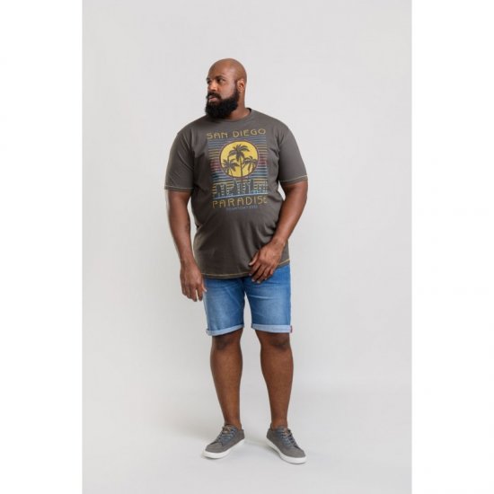D555 Stanley T-shirt Khaki - Koszulki - T-shirty meskie Duże Rozmiary - 2XL-14XL