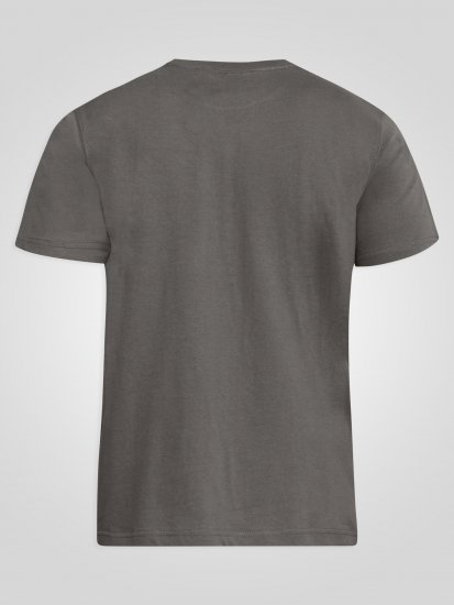 D555 Flyers Crew Neck T-shirt Khaki - Koszulki - T-shirty meskie Duże Rozmiary - 2XL-14XL