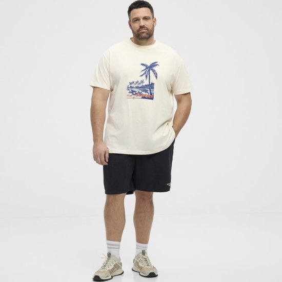 North Latitude T-Shirt Printed Off-White - Koszulki - T-shirty meskie Duże Rozmiary - 2XL-14XL