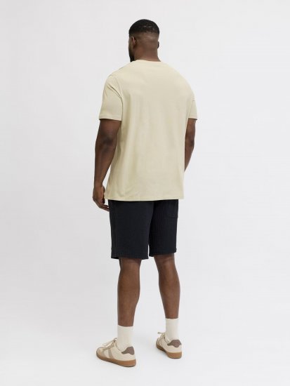 Jack & Jones Blaneo Short Sleeve T-shirt Beige - Koszulki - T-shirty meskie Duże Rozmiary - 2XL-14XL