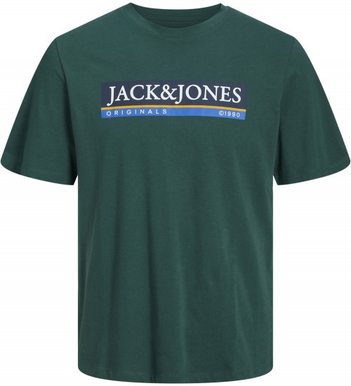 Jack & Jones Codyy T-Shirt Green - Koszulki - T-shirty meskie Duże Rozmiary - 2XL-14XL